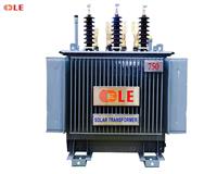 MÁY BIẾN ÁP NĂNG LƯỢNG MẶT TRỜI 750 KVA